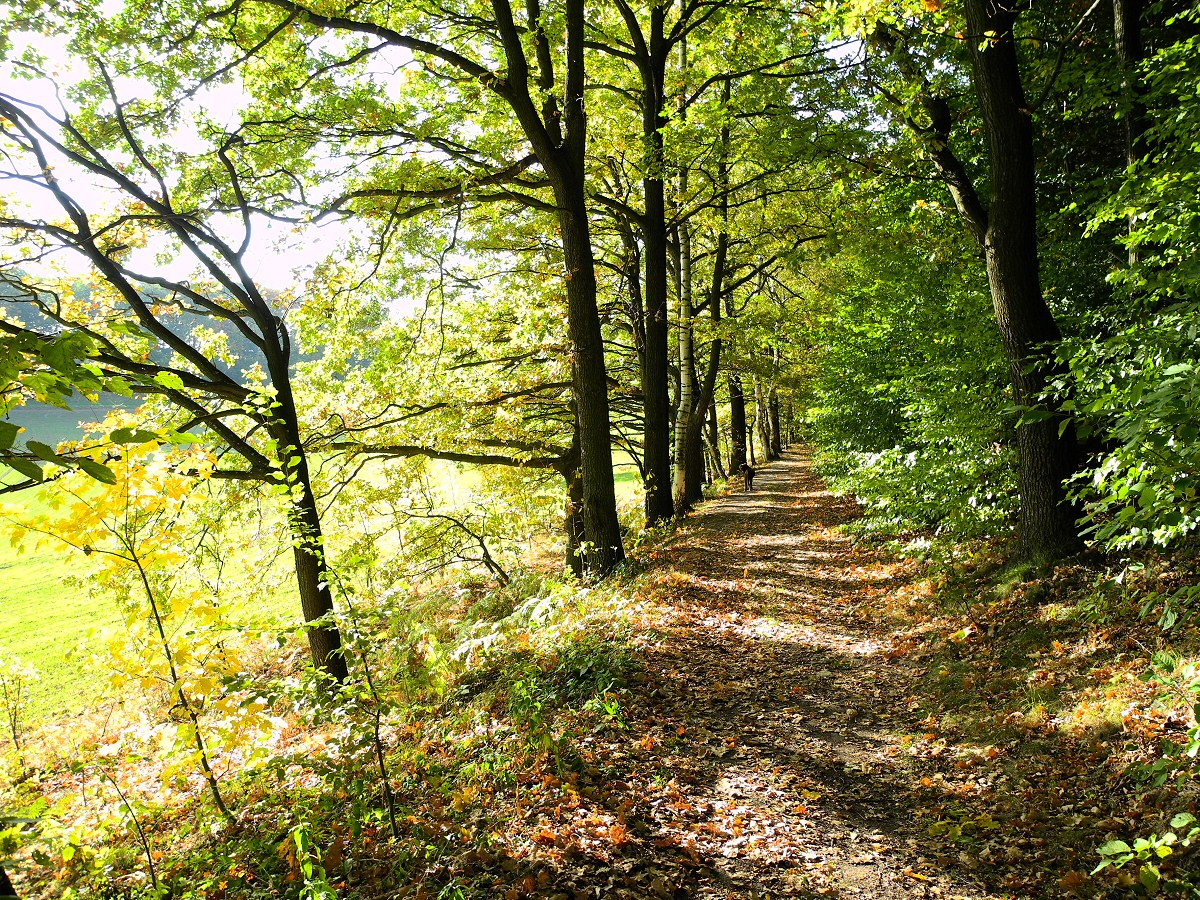 Papstdorf_Herbst_2012 (8)